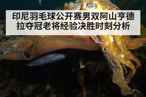印尼羽毛球公开赛男双阿山亨德拉夺冠老将经验决胜时刻分析